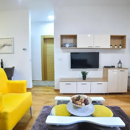 Elsa Kosta Todorovic *