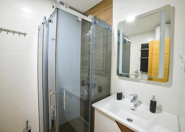 Elsa Kosta Todorovic *