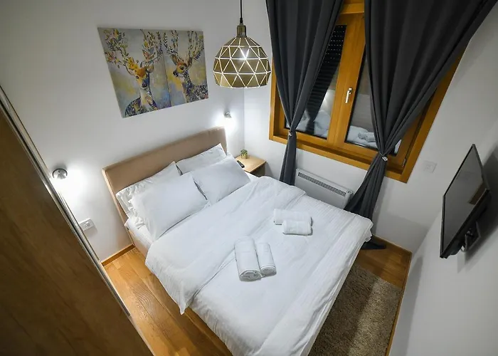 Elsa Kosta Todorovic